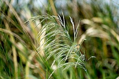 动画电影《八十天环游地球》定档预告 7月27日上映