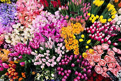 NVIDIA分享《心灵杀手2》路径追踪新技术细节